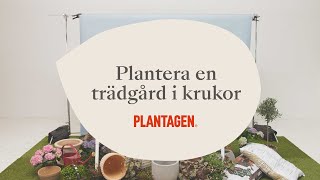 Plantera en trädgård i krukor