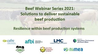 Beef Webinar Series 2021: Solutions to deliver sustainable beef production