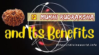 12 Mukhi Rudraksha and Its Benefits