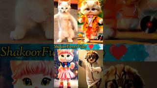 cats funny dance competetion 😍 patli kamariya mory 😋😂 #cat #dancingcat #catvideos #youtubeshorts