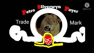 Petro Silverwyn Payer logo