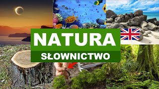 Learn Polish Vocabulary - Nature 9 (Natura)