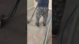 Clean  carpet professional （Liang)