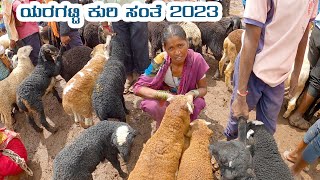 Yaragatti sheep bazar: Surviving the market trail