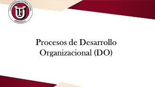 Procesos de Desarrollo Organizacional (DO)