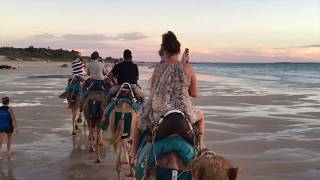 Camel rides on Cable Beach, Broome WA