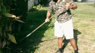 Satisfying Yard Cleaning