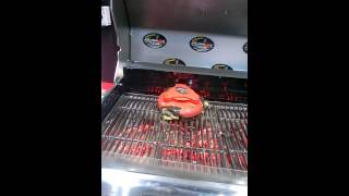 GrillBot the robotic grill cleaner