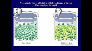 AP Chem Unit 5 Part 1 States & Solutions #6: Colligative Properties