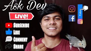 Ask Dev - 2nd Live Stream || All About Pets