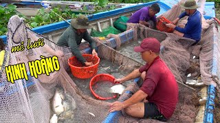 Bao Quây Bắt Được Gần 300kg CÁ VỒ ĐÉM Và CÁ TRẮNG Trên Sông Vàm Cỏ Mất 2 Ngày 1 Đêm |Đời Sống Dân Dã