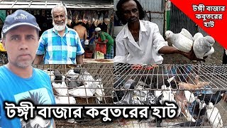 আজকের টঙ্গী কবুতর বাজার | টঙ্গী বাজার কবুতরের হাট | tongi bazar |  টঙ্গী কবুতর বাজার | Latest Update