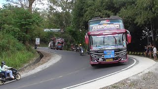 artis bus telolet banyak bus kembar corong 12