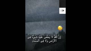 ﴿ هُوَ الَّذِي يُصَوِّرُكُمْ فِي الْأَرْحَامِ كَيْفَ يَشَاءُ ۚ