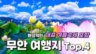 여름의 가장 아름다운 여행지 소개해 드릴게요. 전남 무안 회산백련지 연꽃축제와 같이 가면 좋은 여행지 4곳 추천해드립니다. 올 여름에는 무안에서 즐거운 여행하시기 바랍니다.