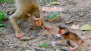 Very cool  !! Young mama Louy makes funny faces to make baby Lexi happy in learn to walk,