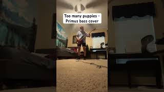 Too many puppies - primus bass cover