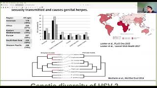 SEEM 2021 06 18 M. Sironi: "Human herpesviruses genetic diversity and host adaptation"