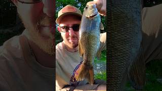 This Smallie likes spoons! #lenthompson #catchandrelease #smallmouthbassfishing