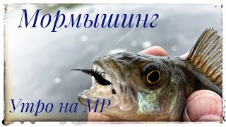 Мормышинг ! Холодное утро на Москва реке !