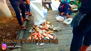 Mancing dapat sekarung