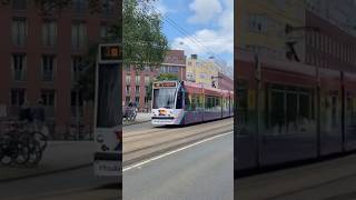 Queer & Pride Amsterdam Regular Tram Wrap 2024 - GVB Amsterdam Vol. 3  (AD) #shorts