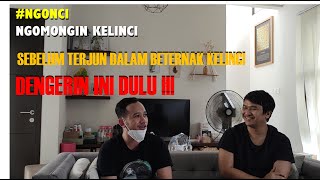 (NGONCI) Apa yaa Istilah Pet Brood Show dalam Kualitas Kelinci Hias