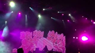 Bassnectar - Pink Elephants VIP (Remix) - SNOWGLOBE - South Lake Tahoe, CA - Dec. 30th, 2011