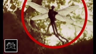 5 Extremely Creepy & Mysterious Creatures Caught On Camera