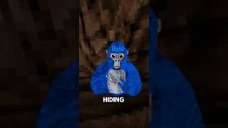 Gorilla tags most INSANE hiding spot  ever