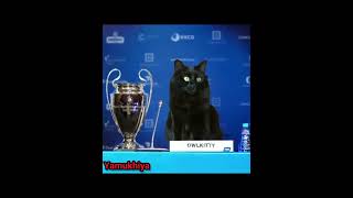 Animal funny moments in football // # short video