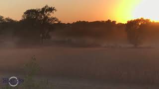 Harvest Meditation