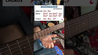 Van Morrison - Moondance (Guitar Lesson) #moondance #vanmorrison