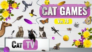 CAT Games | Ultimate Cat TV Compilation Vol 84 | 4 ЧАСА 🐝🐞🦋🦎🦜🐜🐭🧵