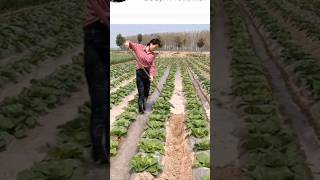 Smart farmer #agriculture #farming #interesting