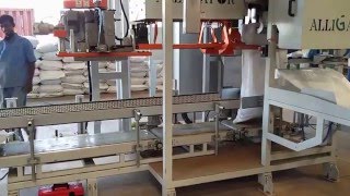 Automatic Bagging Machine