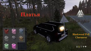 Blackwood PvE Chernarus - Платья