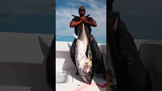 How to Catch Bluefin Tuna