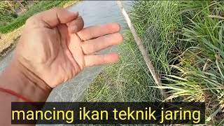 keseruan mancing ikan teknik jaring