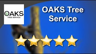 OAKS Tree Service Reviews - Five Stars for Tree Trimming in Tampa, FL