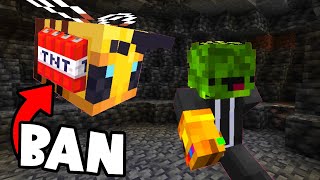 This Minecraft Bee is Illegal... Here's Why