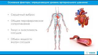 Гипертоническая болезнь Причины изменения артериального давления