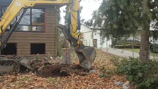 TNT Service's Stump removal and hauling.