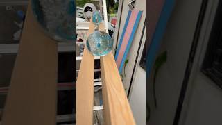 New Marble Run Course★Goldfish Bowl Blue Crystal Ball ② #asmr