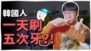 韓國人一天刷五次牙!? 因為這個誤會真的很大🤭 | 韓國人為什麼 | 胃酸人