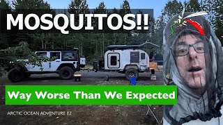 Mosquitos Are Worse Than We Expected - Arctic Ocean Road Trip Adventure - E2