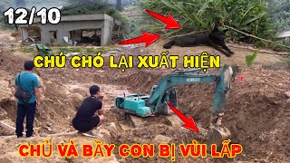 BẤT NGỜ ! CHÚ CHÓ TIẾP TỤC XUẤT HIỆN