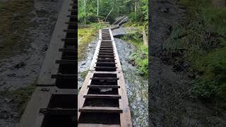 Mount Colden staircase to heaven #breathtakingviews #adirondacks #nature #hiking #adk