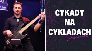 BAJERSI - CYKADY NA CYKLADACH (NA ŻYWO) 2024 live session #3