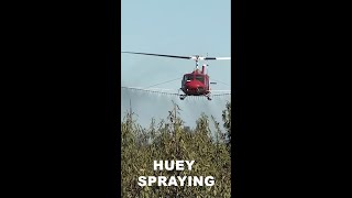 Vietnam veteran helicopter spraying almond trees #shorts